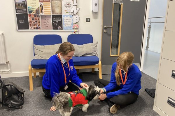 Year 11 pupils using their relaxation techniques with Minnie our wellbeing dog.